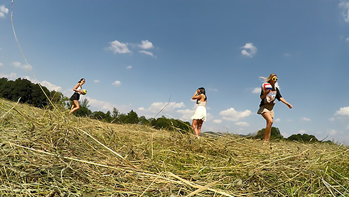 Les Filles Passent Au Commando Et Libèrent Leur Mamelon Dans Une Action De Réalité En Plein Air