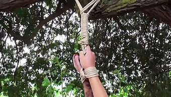 Women Stripped And Whipped In Outdoor Bdsm Scene