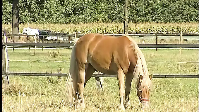 Drsné A Tesné: Fetis Farmárskej Dievčiny S Prstami