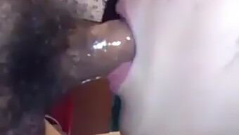 Asian Amateur Swallows Cum In Sloppy Video